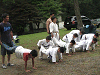 camp22 (257)_samu.gif